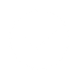 Line icon of check mark in circle